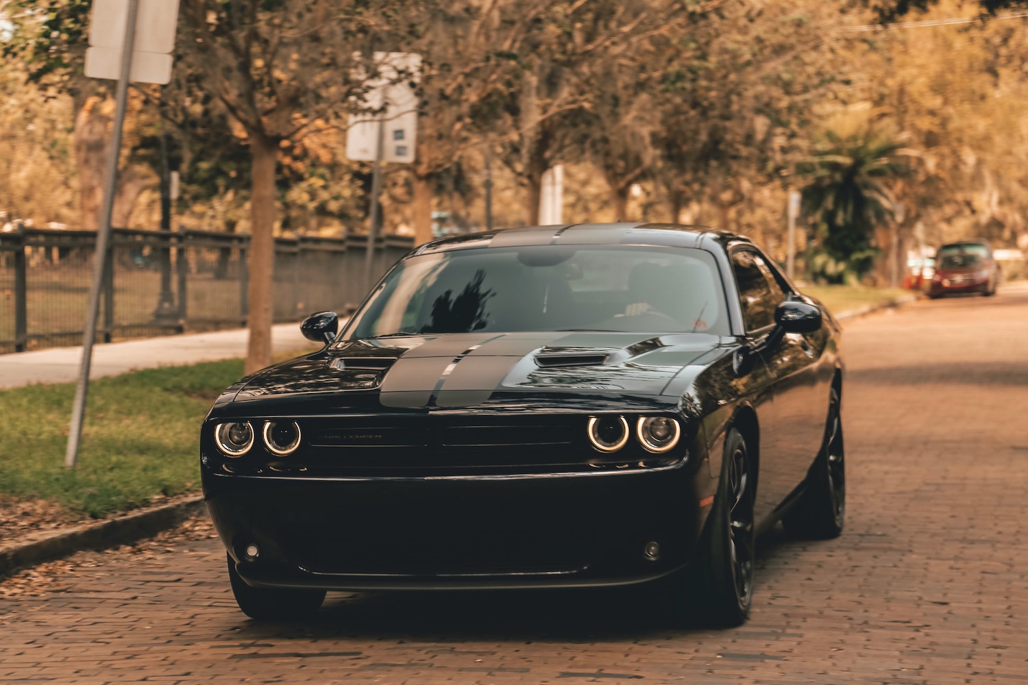 Black Dodge Challenger muscle car driving along a tree-lined residential street.