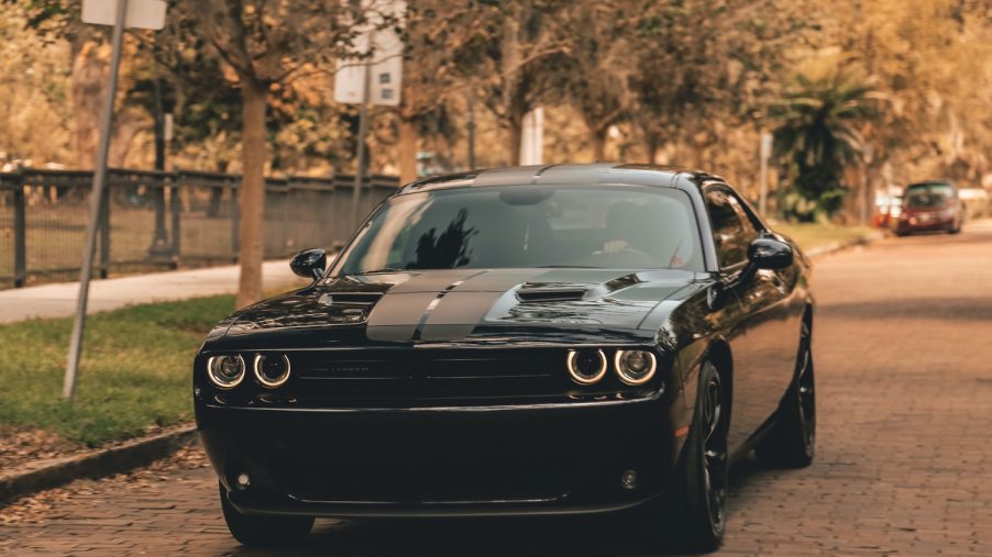 Black Dodge Challenger muscle car driving along a tree-lined residential street.