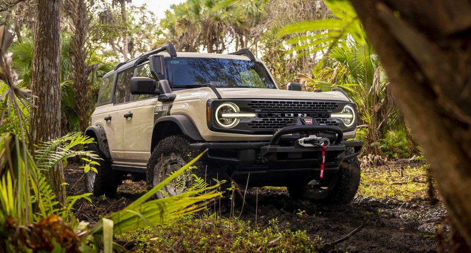 A Desert Sand 2022 Ford Bronco Everglades is parked off-road in swampy terrain. 