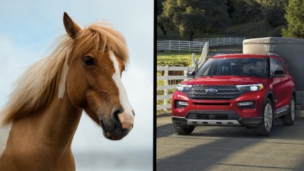 High Gas Prices: Is It Cheaper to Ride a Horse Than Drive a Car?