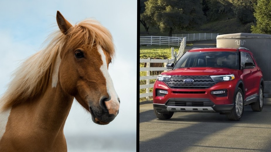 Horse and a Ford Explorer towing a trailer, highlighting if it's cheaper to ride a horse than drive a car