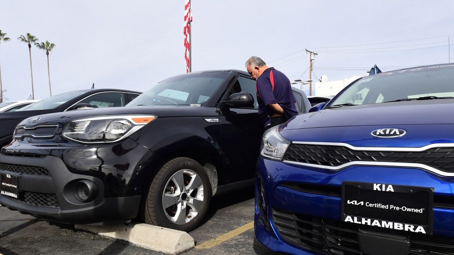 A man shopping for used cars looking at several Kias