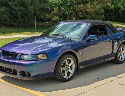 This ‘Illegal’ Cobra Mustang Paint Is Rare and Costs $26,000 per Gallon