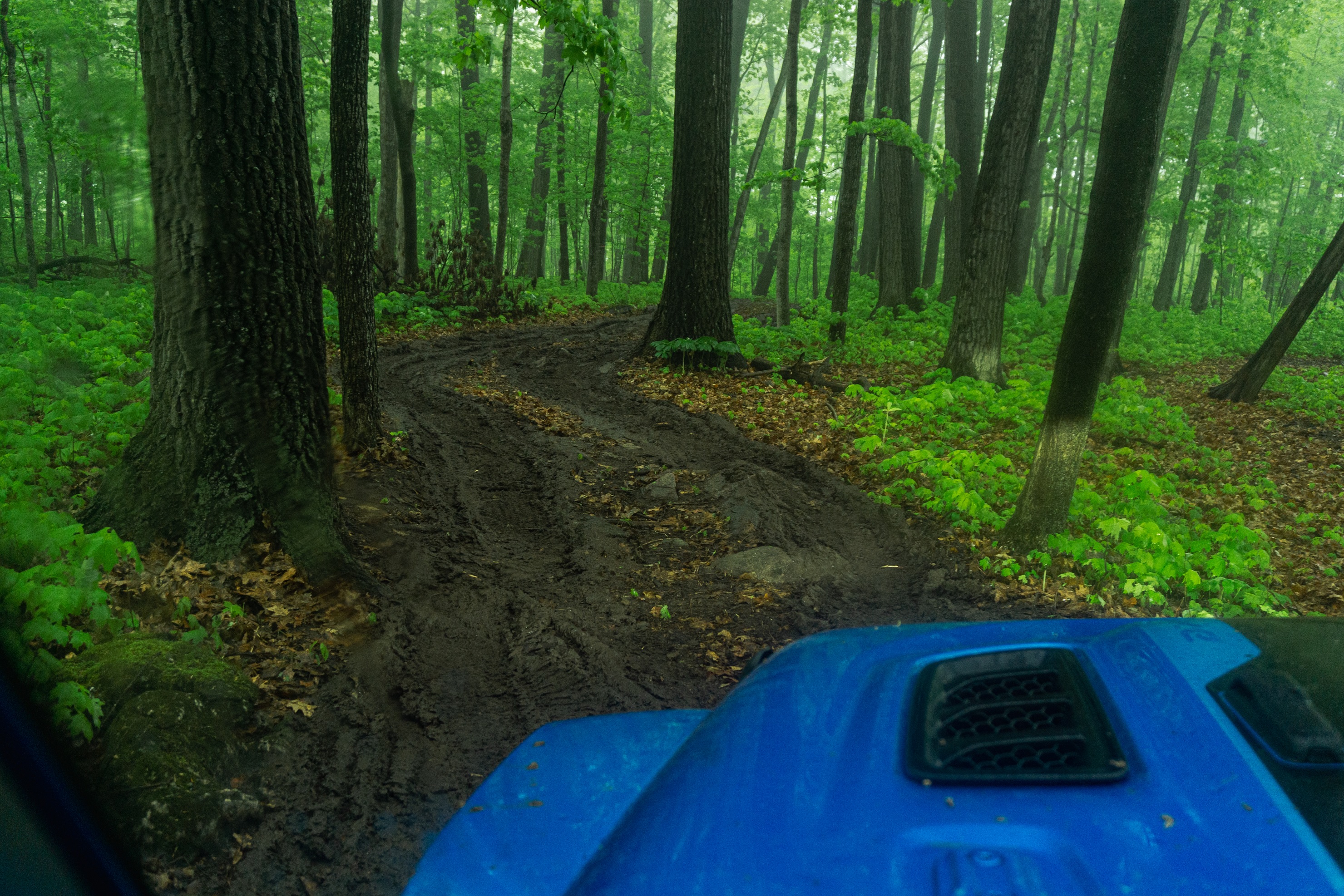 A blue 2021 Jeep Wrangler Unlimited Rubicon 4xe's hood as it rock-crawls in a muddy forest