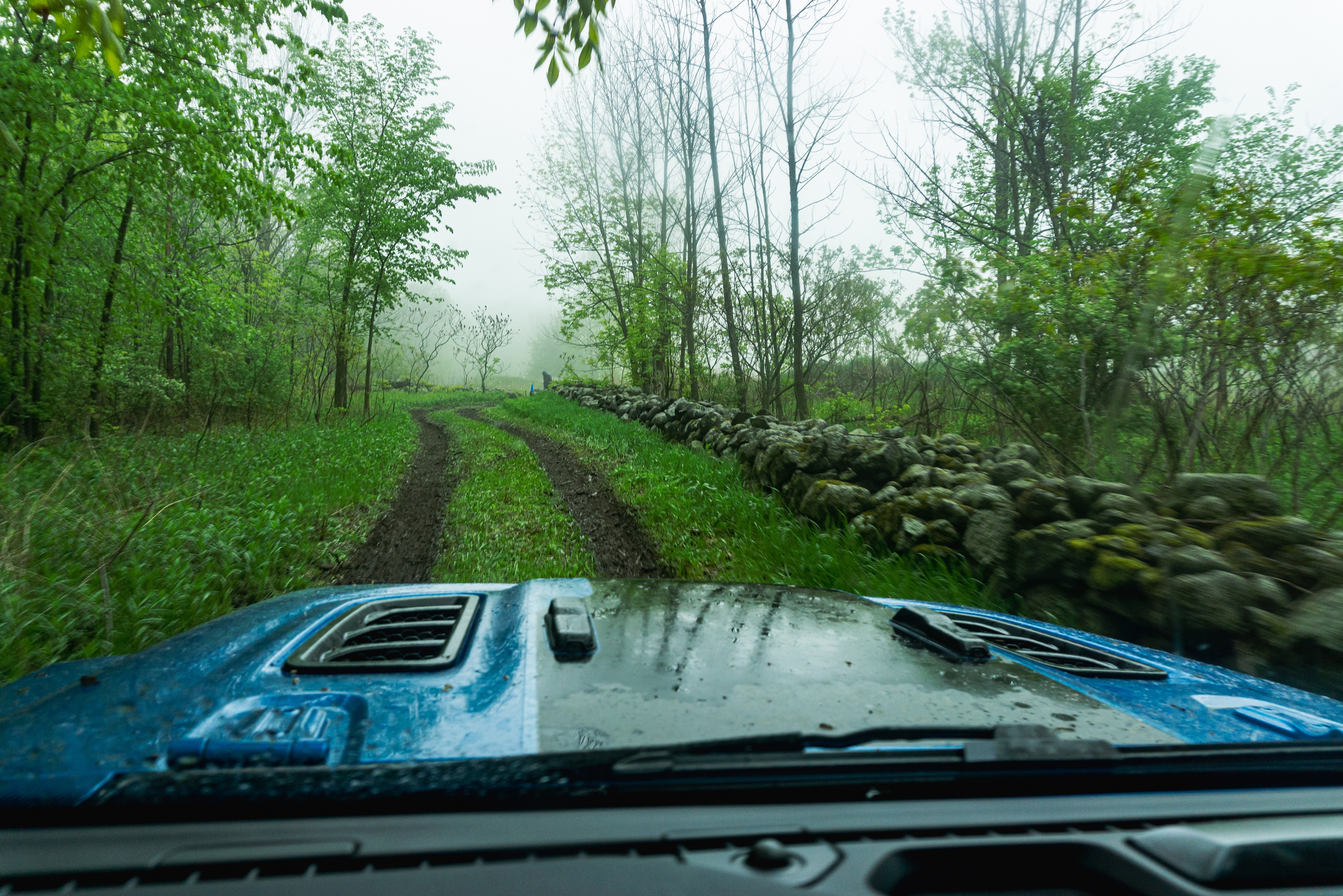 The hood of a blue 2021 Jeep Wrangler Unlimited Rubicon 4xe traveling down a wet forest trail