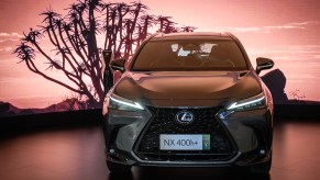 A 2022 Lexus NX parked in front of a pink backdrop with a tree silhouette.
