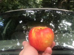 Try This Secret Apple Trick on a Car Windshield and Watch the Magic Happen
