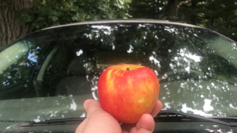 Apple in front of a car windshield, highlighting the secret trick for rubbing an apple on a windshield 