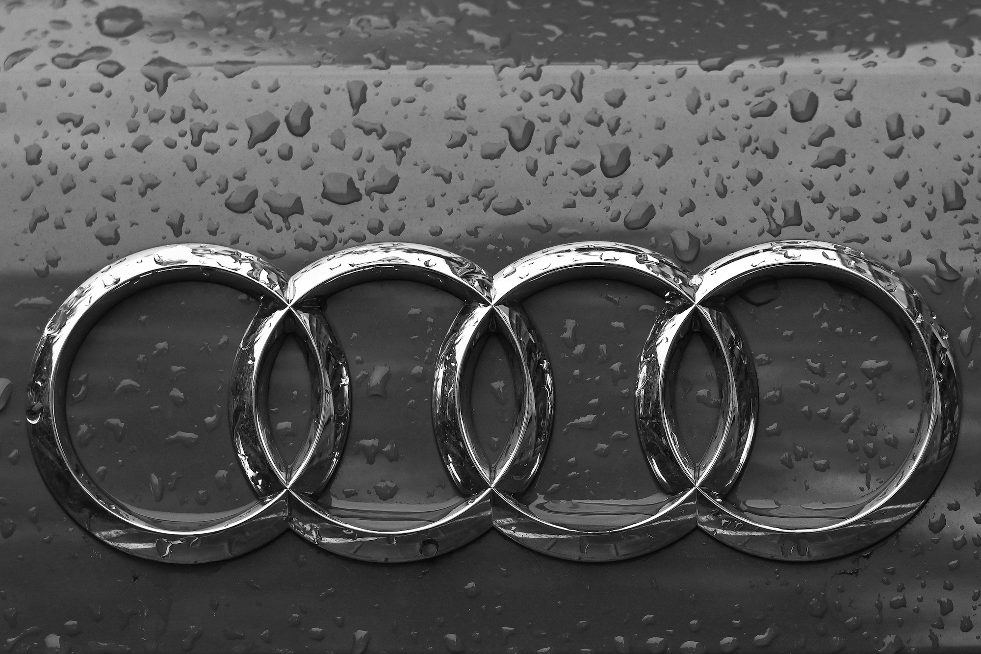 An Audi logo on a grey car.
