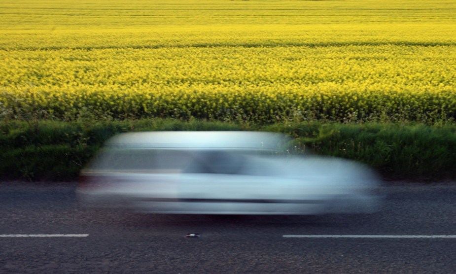 A white car whizzing down a country road at high speed appears as a blur in front of yellow flowers.