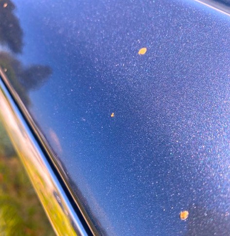 What Are Those Little Yellow Spots On My Car?