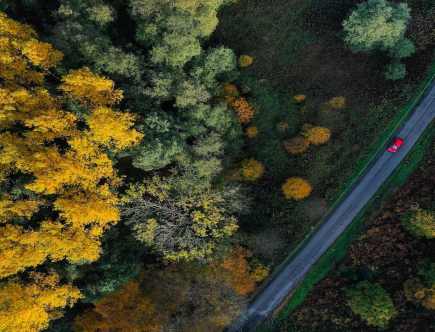 4 Fall Driving Hazards and Ways to Handle Them