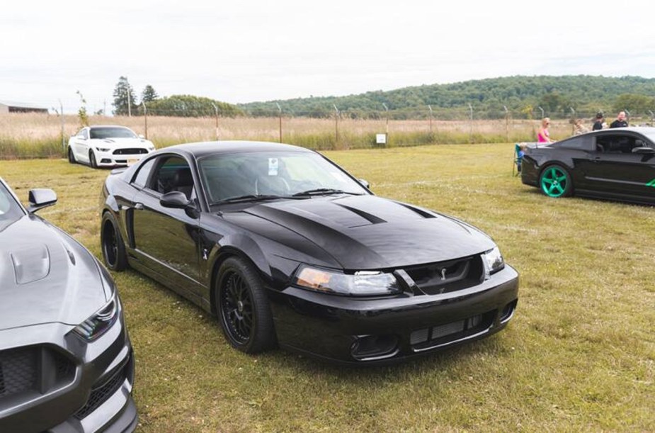 The SN-95 Ford Mustang Cobra Terminator is a supercharged SVT Cobra with respectable credentials.