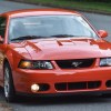 The Ford Mustang SVT Cobra Terminator is one of SVT's finest creations.