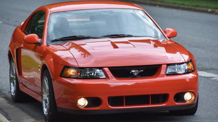 The Ford Mustang SVT Cobra Terminator is one of SVT's finest creations.