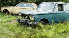 Two cars sit too long in tall grass that is light blue and yellow.