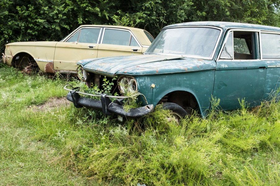 Two cars sit too long in tall grass that is light blue and yellow.