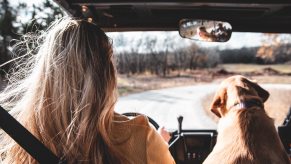 A woman and her dog taking a road trip.