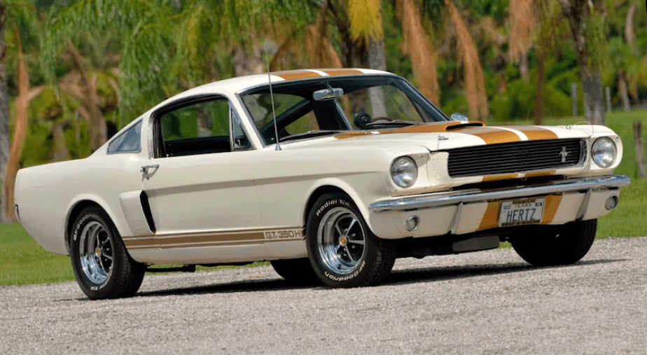 Shelby GT350-H Mustang in rare Wimbledon White and Gold