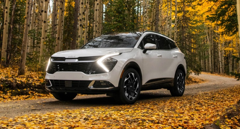 A white 2023 Kia Sportage is parked outside. Should you buy a hybrid or non-hybrid Sportage?