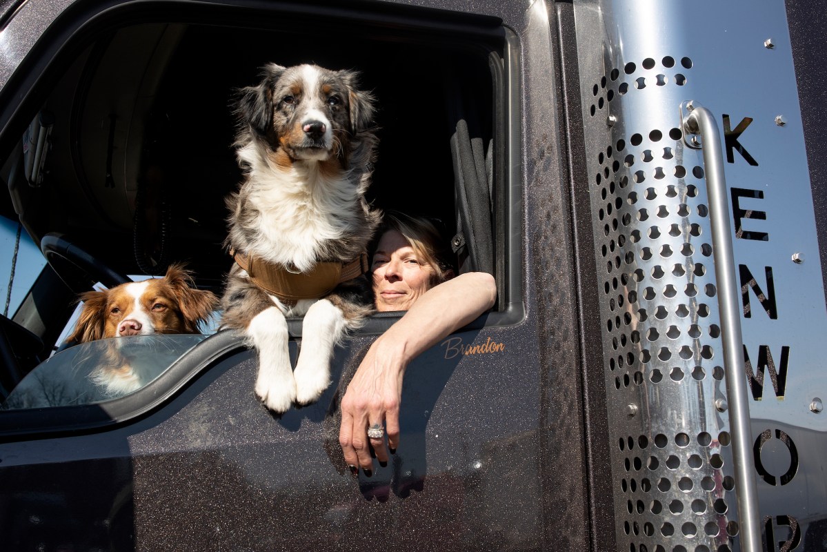 Can Truck Drivers Have Pets?
