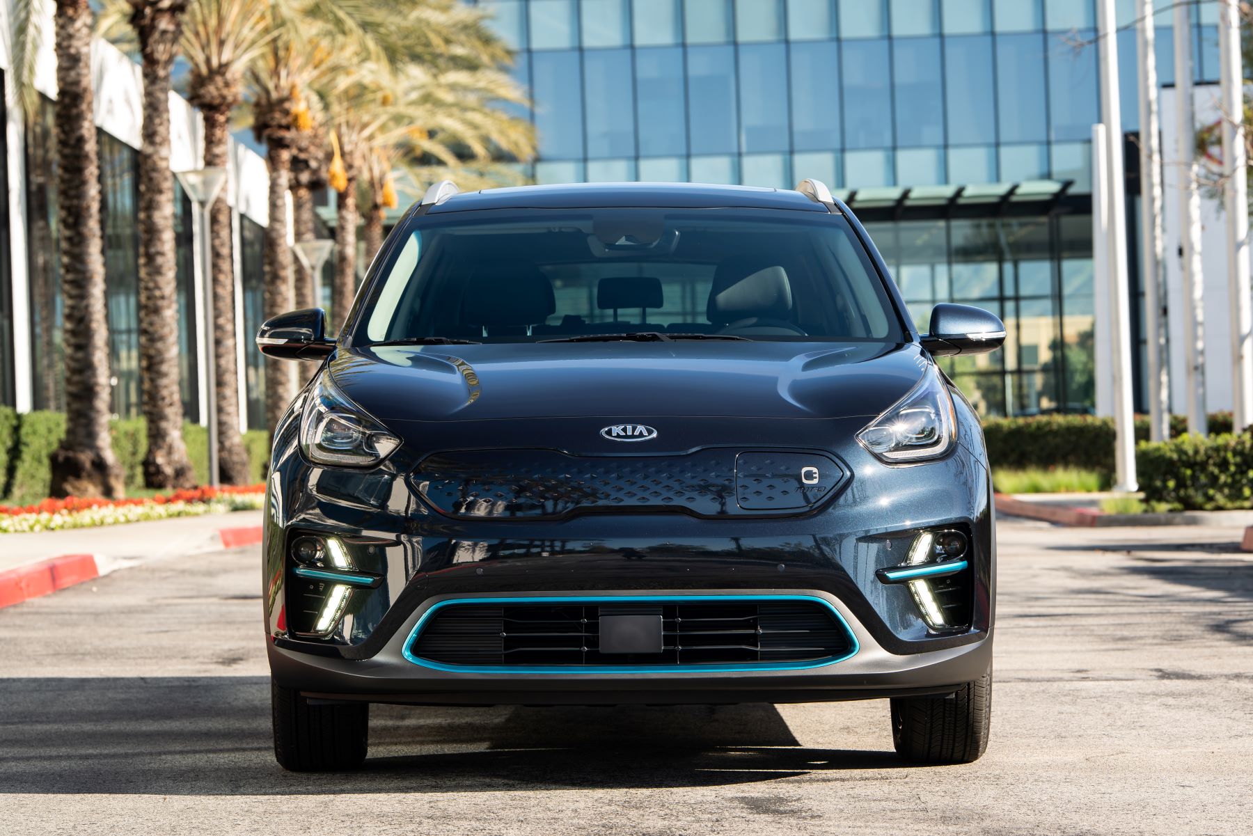 A front-facing 2019 Kia Niro Electric/EV parked outside a glass office building near a line of palm trees