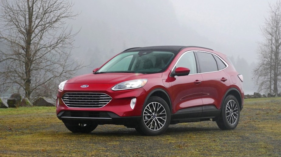 Red 2022 Ford Escape Hybrid Posed on a Field with Fog
