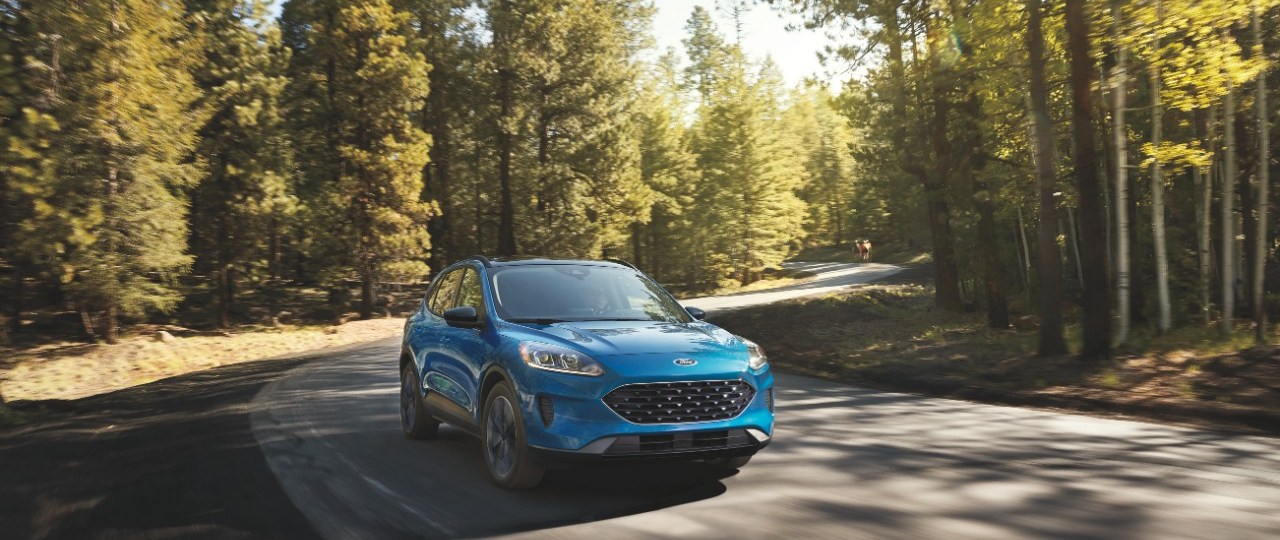 A 2022 Ford Escape driving in the woods