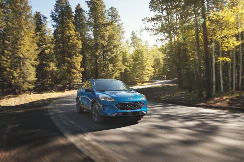 A 2022 Ford Escape driving in the woods