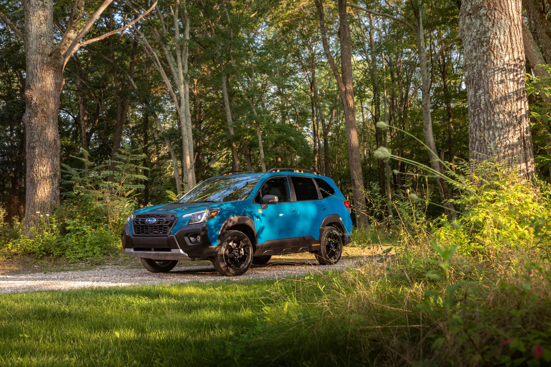 A light blue 2022 Subaru Forester Wilderness compact SUV model parked on a forest trail bathed in sunlight