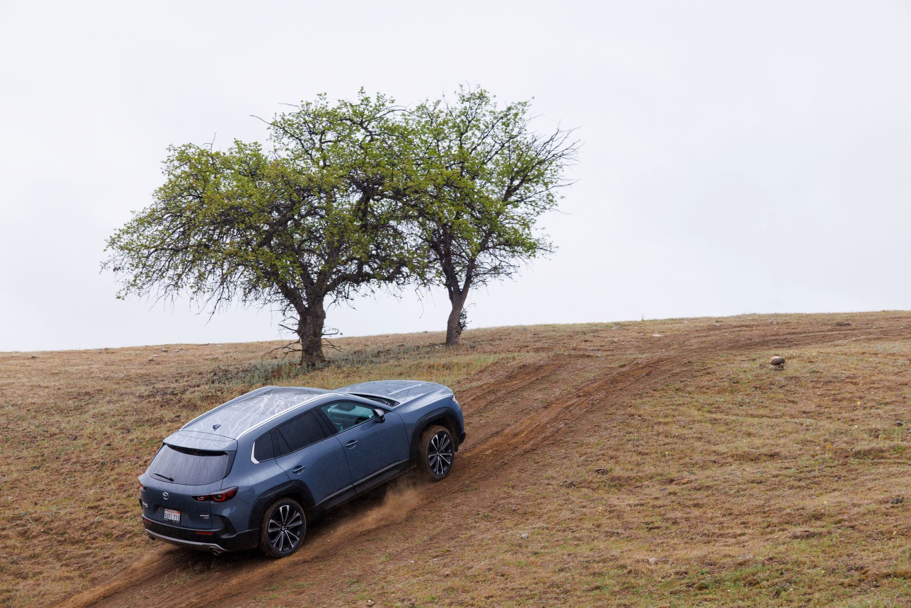 A 2023 Mazda CX-50 compact crossover SUV model climbing a grass hill on a dirt road