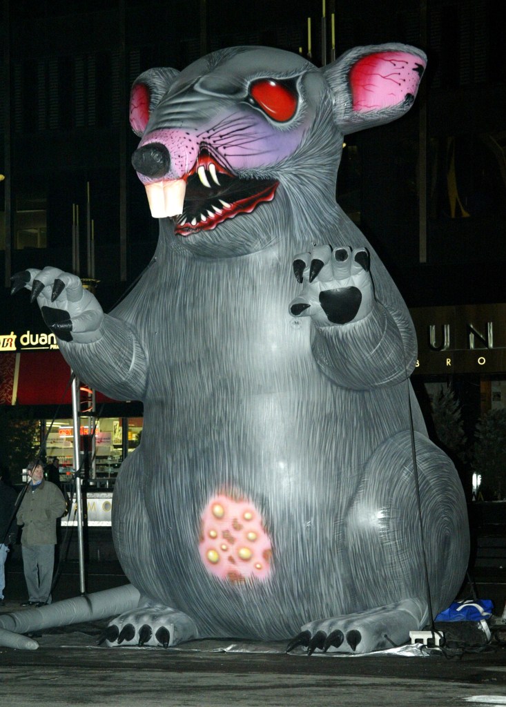 Big rat