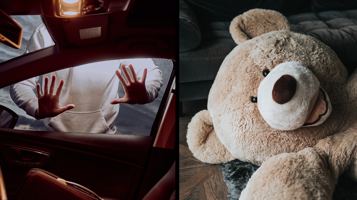 Car thief breaking into car and teddy bear, highlighting car thief arrested after hiding in giant teddy bear