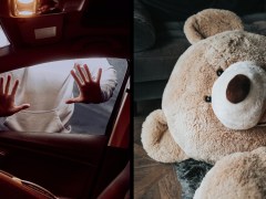 Car Thief Arrested After Found Hiding in Giant Teddy Bear