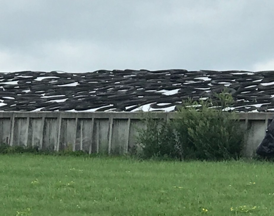 Dairy farm with concrete barrier and old car tires on big white plastic tarp for feed pile