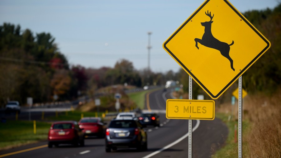 A yellow deer crossing sign beside a highway.