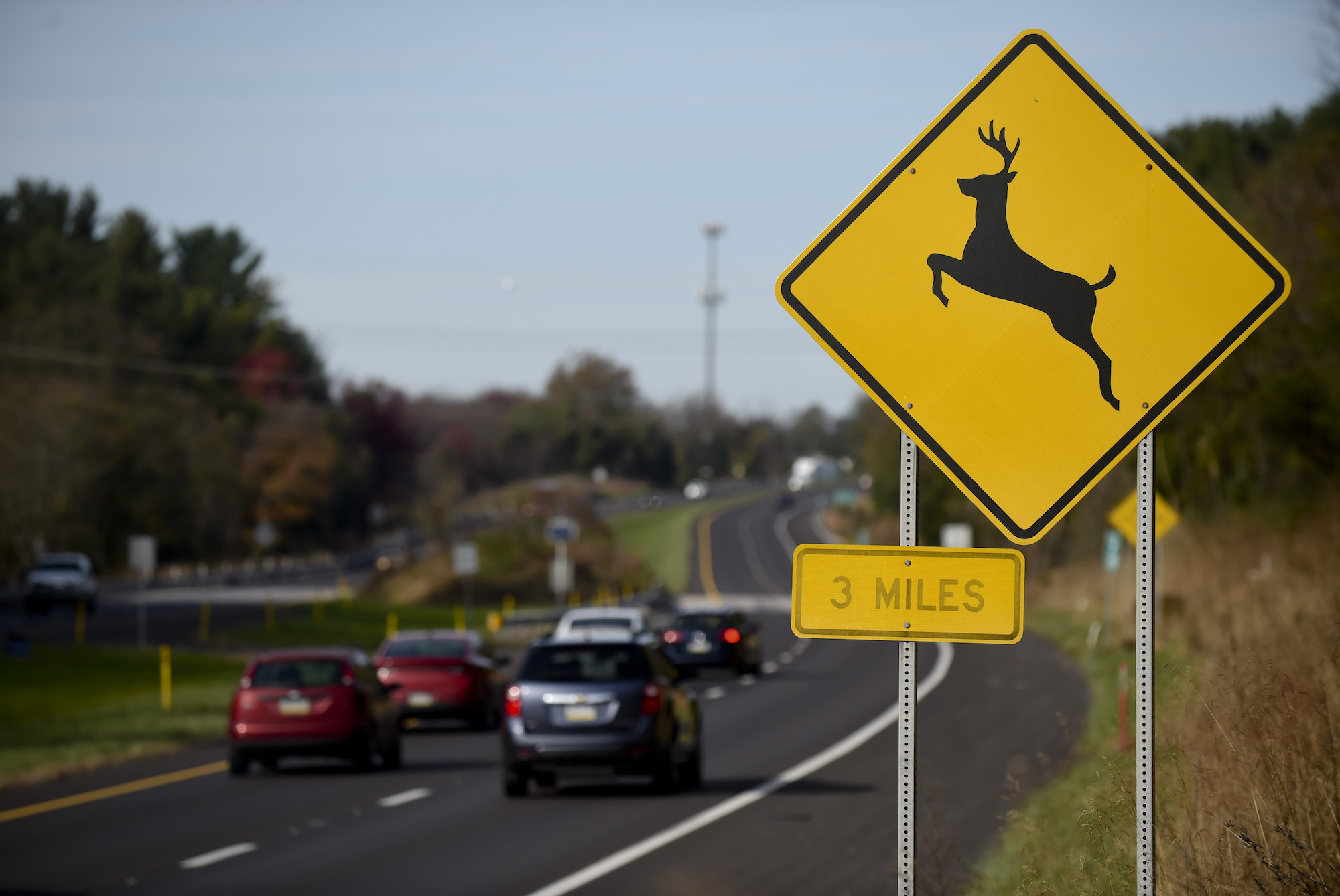 A yellow deer crossing sign beside a highway. 