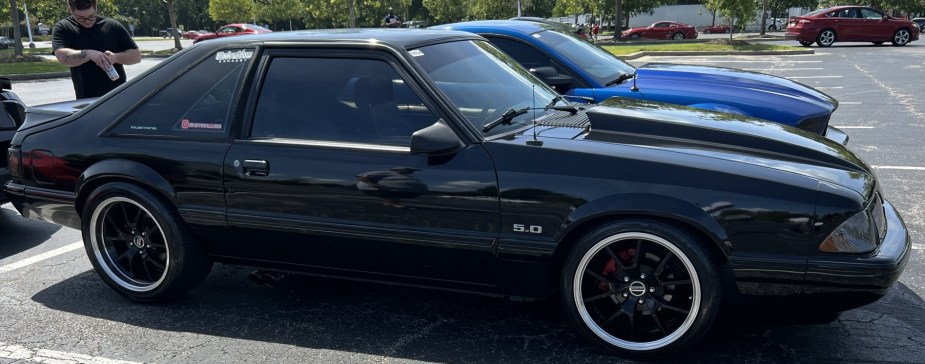 Black Fox Body 5.0 with whitewall tires