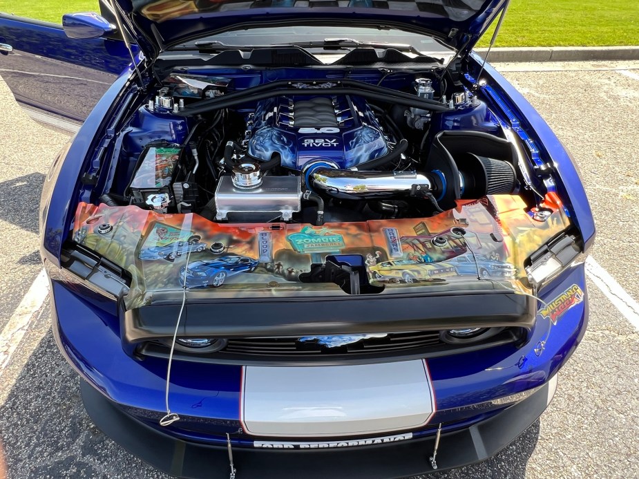 Hell Horse Engine Bay with airbrushed artwork