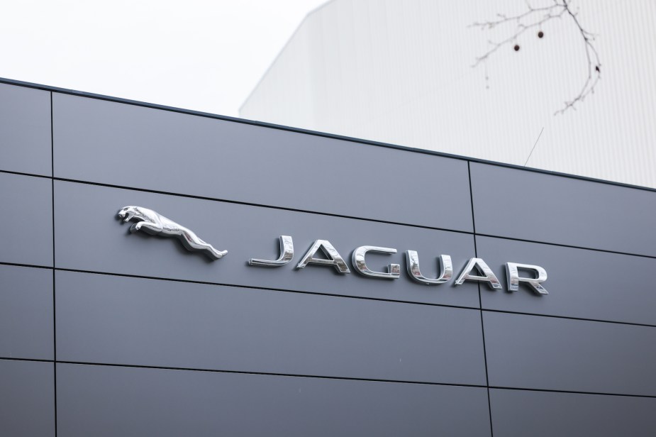 A Jaguar logo, maker of great entry-level luxury SUVs. 