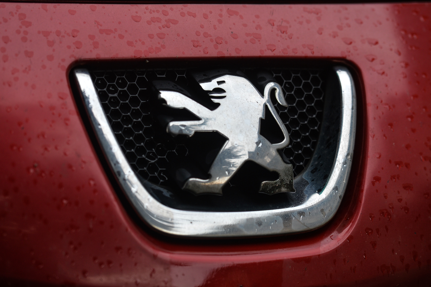 Closeup of a lion car logo set into the small grille of a red car, rain drops visible on its paint.