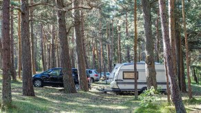 Good camper trailers pulled by SUVs in the forest.