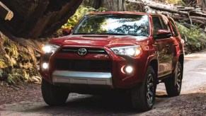 A red Toyota 4Runner midsize SUV is driving on the road.
