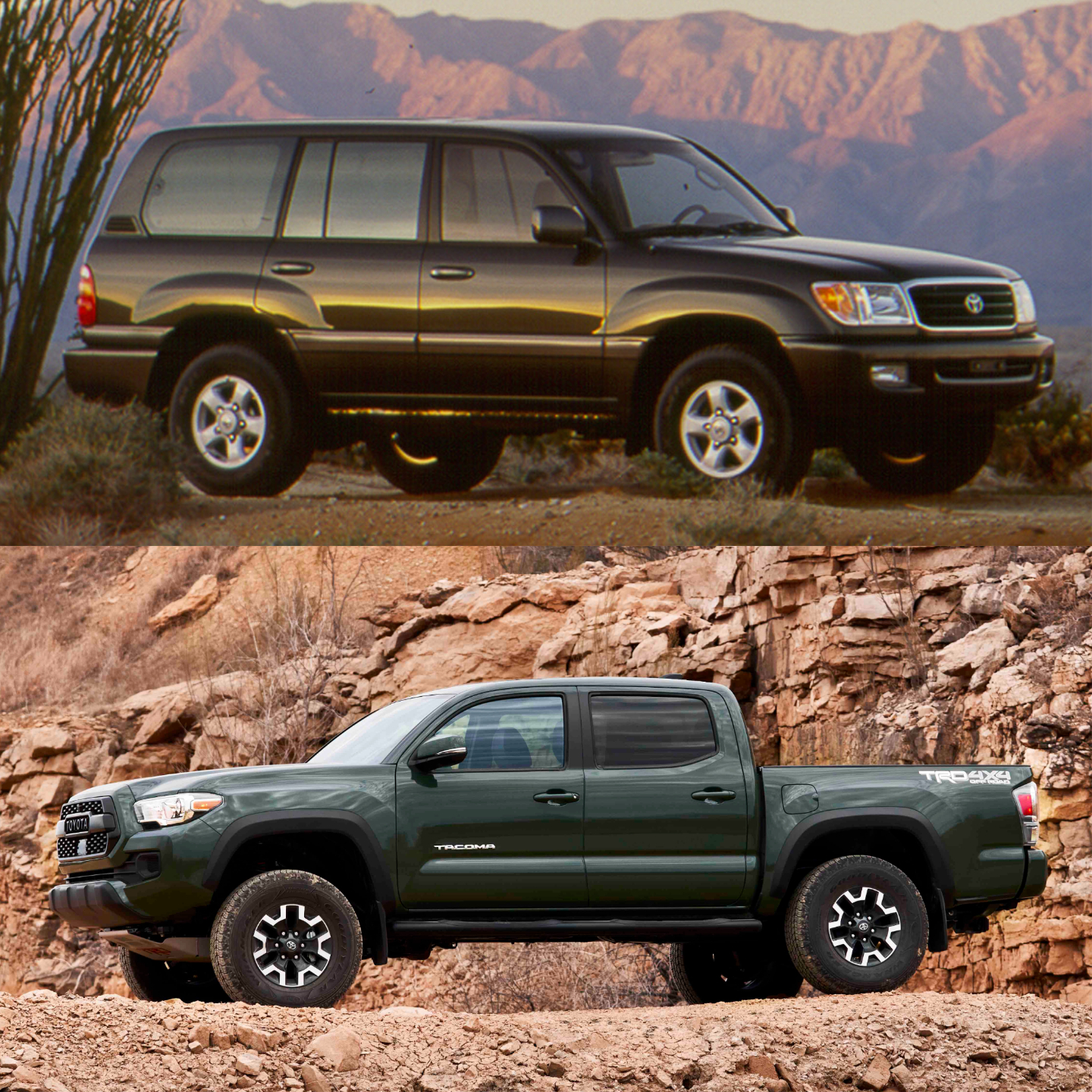 The Toyota Tacoma truck and the Land Cruiser SUV