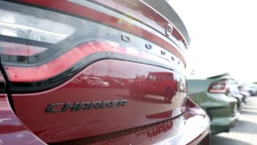 A 2022 Dodge Charger, which is one of the cars every car enthusiast wants as a close up on the back of the car.