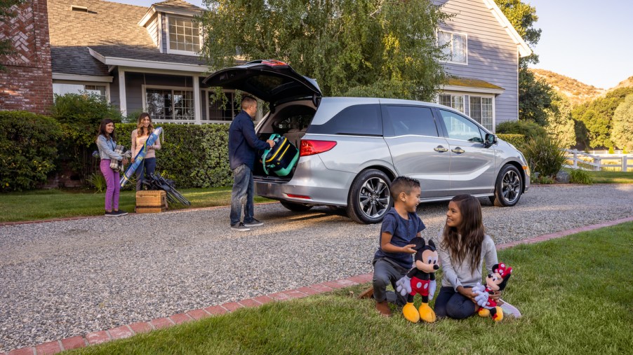 2022 Honda Odyssey: families with dogs