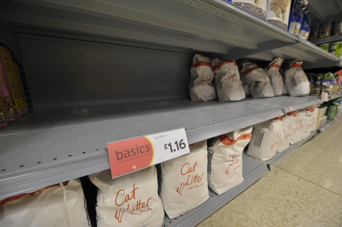 5 Ways to Easily Remove Oil Stains In Your Driveway