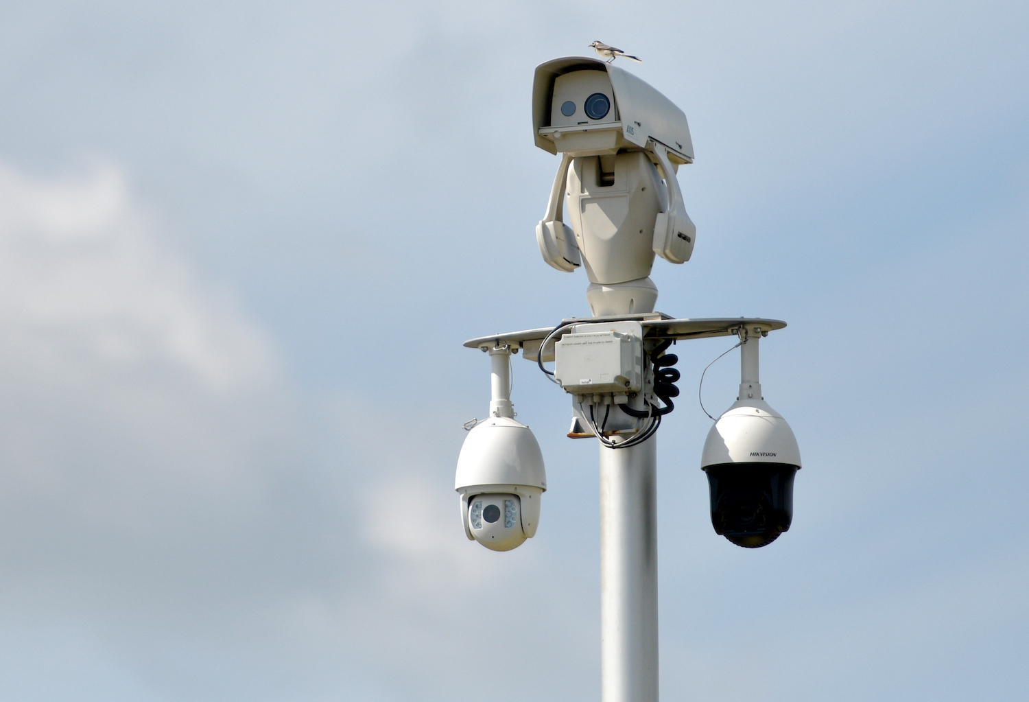 The scanners of an automatic license reader system mounted high on a pole over a highway, the sky visible in the background.