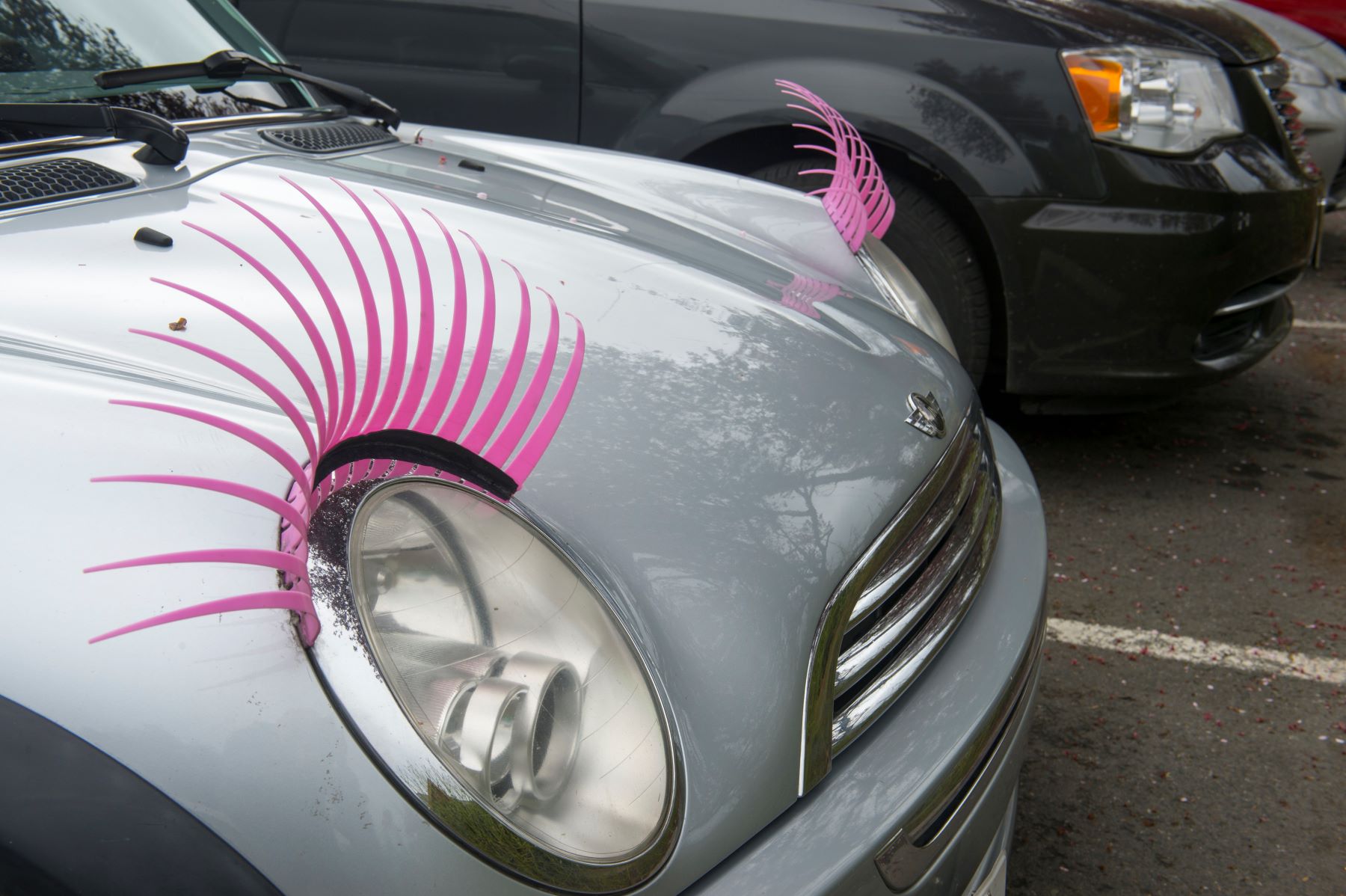 CarLashes, AKA car eye lashses. An exterior feminine car accessory on a Mini Cooper in Kitsap County, Washington.