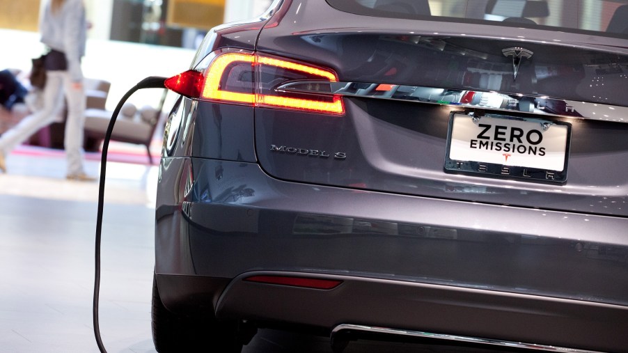 Tesla owners sometimes tap the charger on a Tesla's taillight before use.